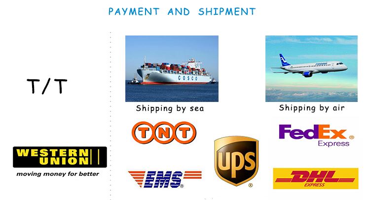 payment and shipment-1
